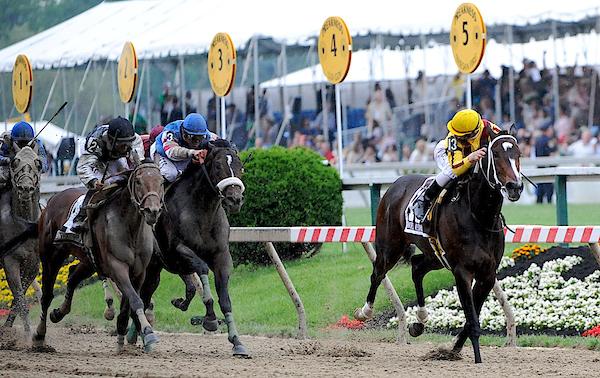 Rachel Alexandra, Preakness, Triple Crown, America's Best Racing, horse racing, ABR, Eclipse Sportswire Rachel Alexandra, Preakness, Triple Crown, America's Best Racing, horse racing, ABR, Eclipse Sportswire